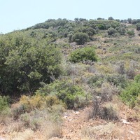 Land plot in Greece