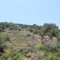 Land plot in Greece