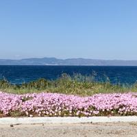 Другое в Греции, 400 кв.м.