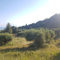 Land plot in Greece