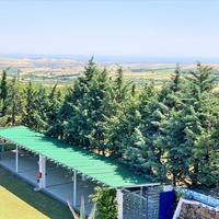 Бизнес-центр в Греции, 1000 кв.м.