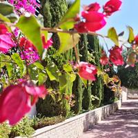 Villa in Republic of Cyprus, 260 sq.m.