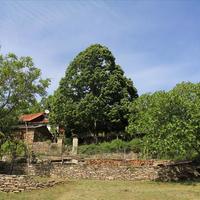 Другое в Греции, 153 кв.м.