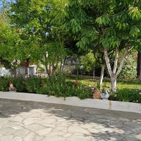 Other in Greece, 650 sq.m.