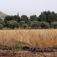 Land plot in Republic of Cyprus