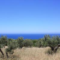 Land plot in Greece