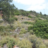 Земельный участок в Греции