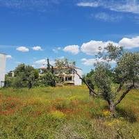 Land plot in Greece