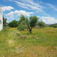 Land plot in Greece