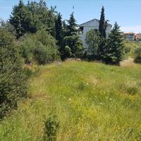 Land plot in Greece