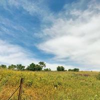 Land plot in Greece, 7000 sq.m.