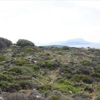 Land plot in Greece
