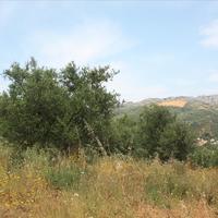 Land plot in Greece