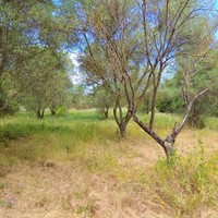 Бизнес-центр в Греции, 1200 кв.м.