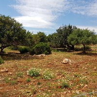 Земельный участок в Греции