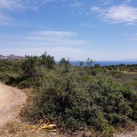 Земельный участок в Греции