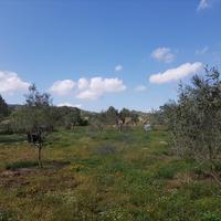 Земельный участок в Греции