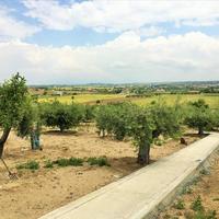 Other in Greece, 260 sq.m.