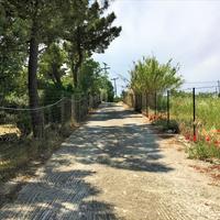 Other in Greece, 260 sq.m.