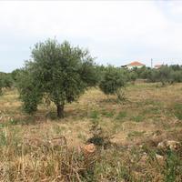 Land plot in Greece