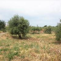Land plot in Greece
