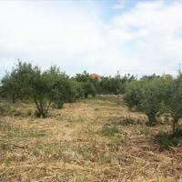 Land plot in Greece