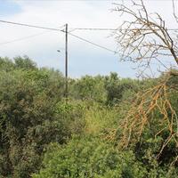 Land plot in Greece