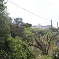 Land plot in Greece