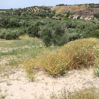 Land plot in Greece