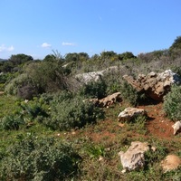 Land plot in Greece, 7600 sq.m.