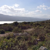 Land plot in Greece, 7600 sq.m.