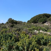 Land plot in Greece, 7600 sq.m.