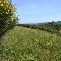 Земельный участок в Греции