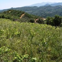 Земельный участок в Греции