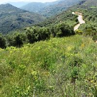 Земельный участок в Греции