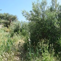 Земельный участок в Греции