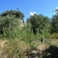 Земельный участок в Греции