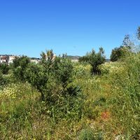 Земельный участок в Греции