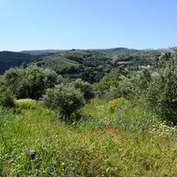 Земельный участок в Греции