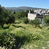 Land plot in Greece