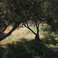 Other in Greece, 76 sq.m.