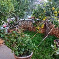 Таунхаус в Греции, 125 кв.м.