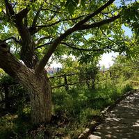 Other in Greece, 130 sq.m.