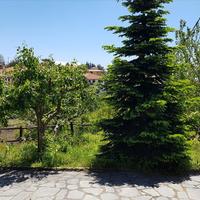 Other in Greece, 130 sq.m.