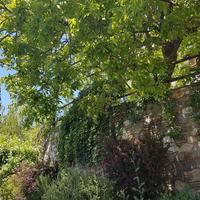 Other in Greece, 130 sq.m.