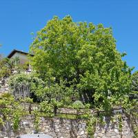 Other in Greece, 130 sq.m.