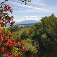 Другое в Греции, 182 кв.м.