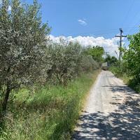 Land plot in Greece, 11000 sq.m.