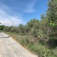 Land plot in Greece, 11000 sq.m.