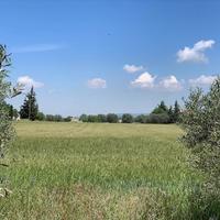 Land plot in Greece, 11000 sq.m.